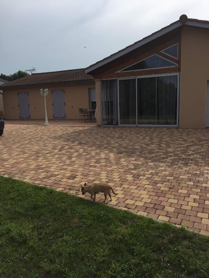 Chambres D'Hotes Chez Coco Saint-Georges-de-Reneins Eksteriør billede